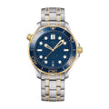 Diver Blue Silver